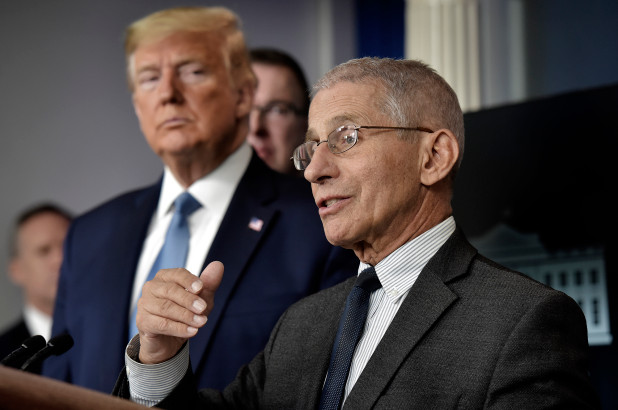 Trump & Fauci